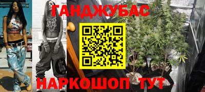 стаф Гагарин