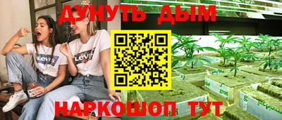 бошки Гатчина