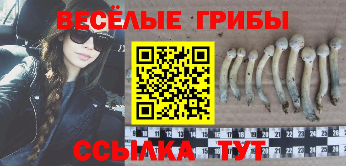 Снежинск  Псилоцибиновые грибы прущие грибы  Вход с VPN  Галлюциногенные грибы ЛСД 